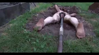 Милий ельф отримав якість Різдво секс відео гінеколог gang bang