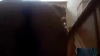 Порно вирізати анальний секс з татуйованою Threading русское порно відео